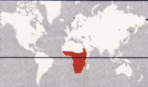 donde viven Cormorán africano